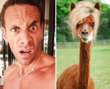 ���Ŷĳ����ɣ���¸��������� 